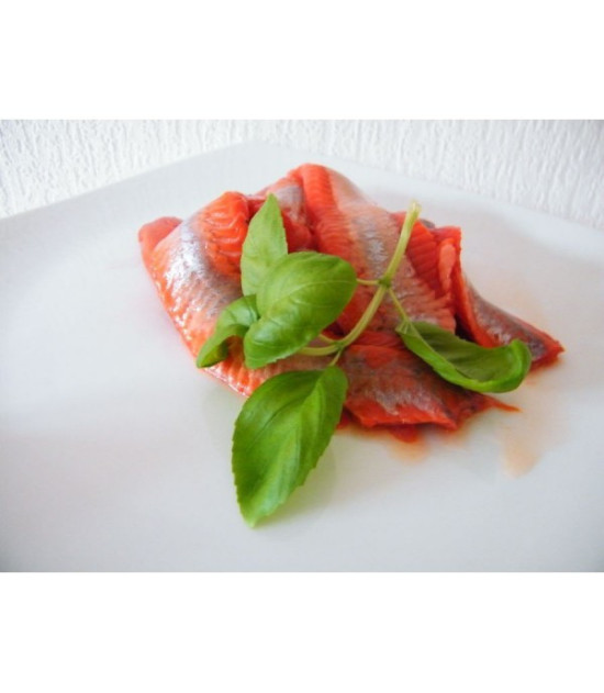 Lachs Matjesreifer zur Herstellung von leckeren mildem Lachs Matjes