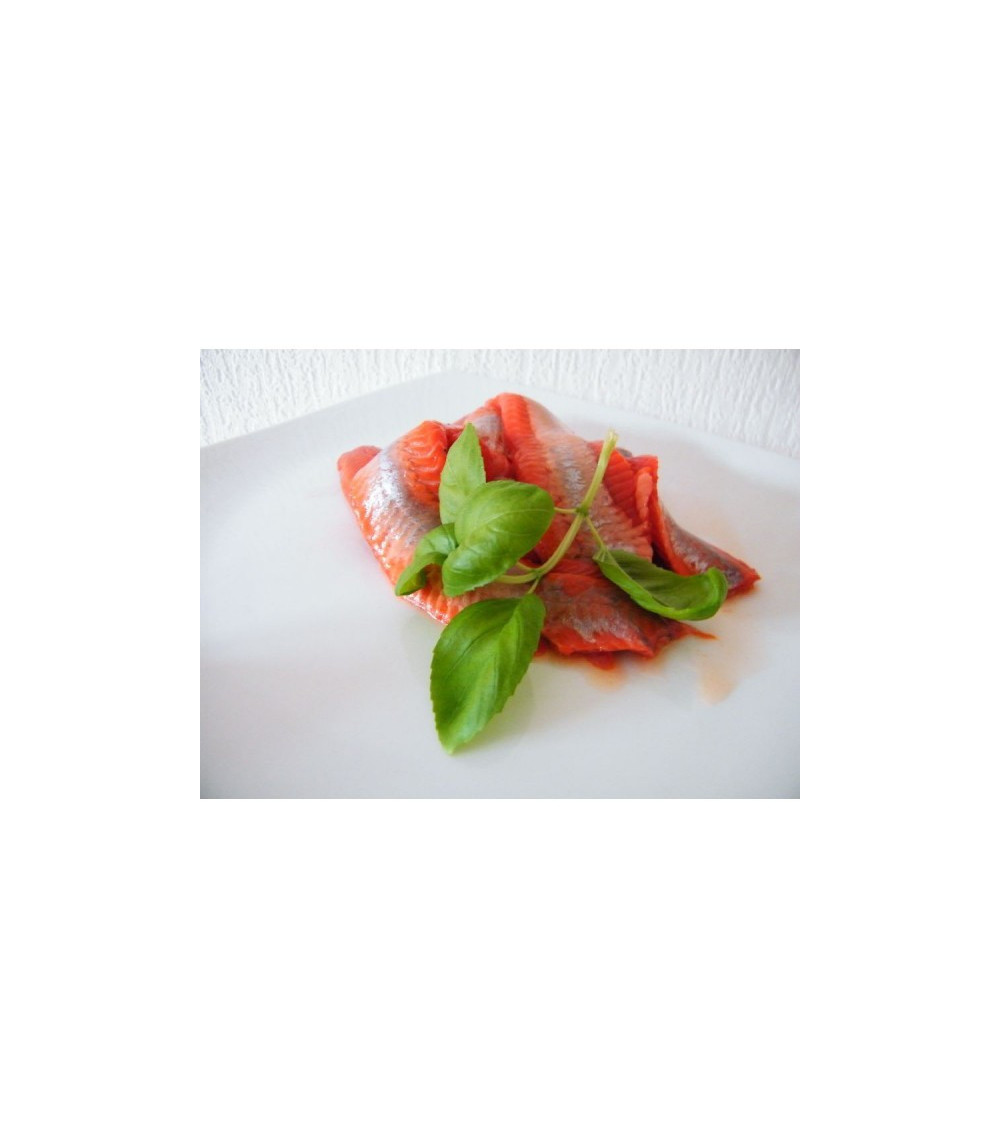 Lachs Matjesreifer zur Herstellung von leckeren mildem Lachs Matjes