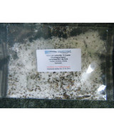Gravad Lachs Reifer Zitronengras/Ingwer 100 Gramm Gravad Lachs Reifer Zitronengras/Ingwer 100 Gramm