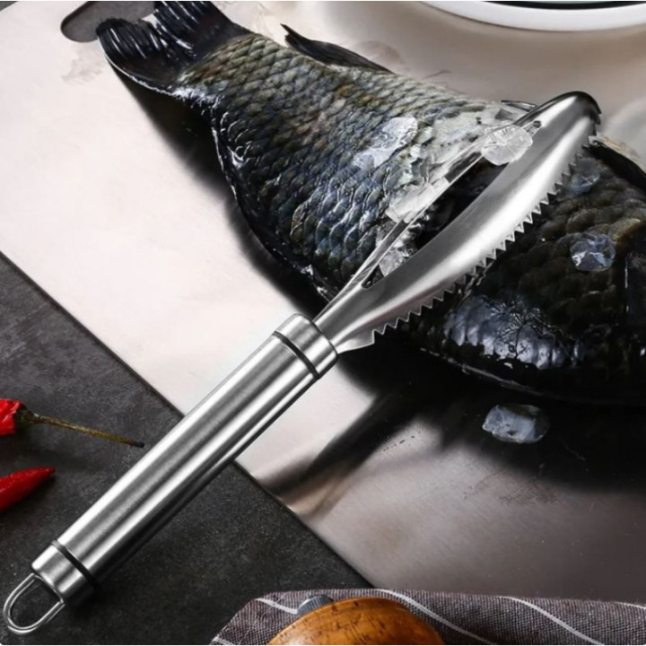 Fisch Entschupper Edelstahl in Profiqualität
