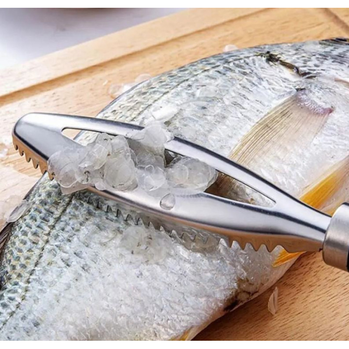 Fisch Entschupper Edelstahl in Profiqualität