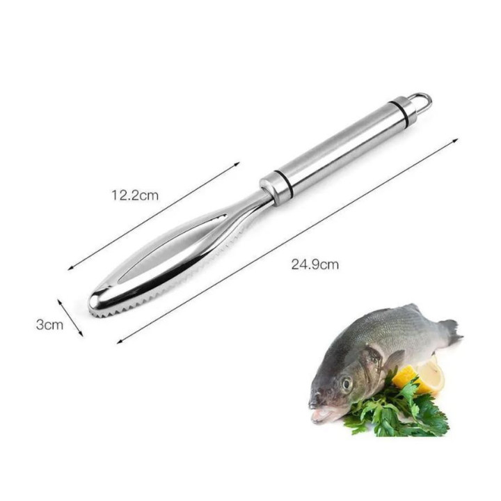 Fisch Entschupper Edelstahl in Profiqualität