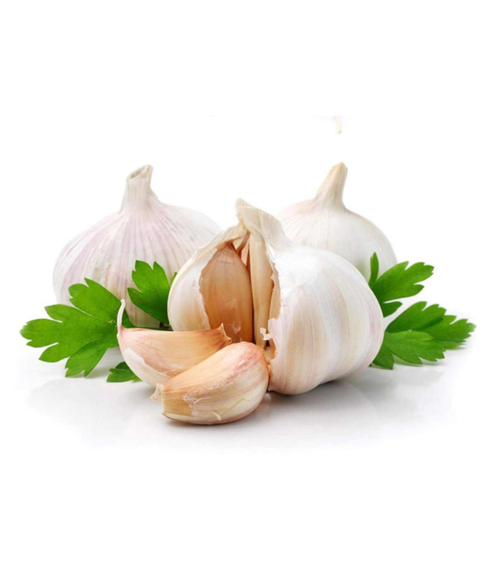 Knoblauch Aroma Öl 100 ml