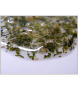 Fisch Aufgussmix -Mediterrano- 60 Gramm Fisch Aufgussmix -Mediterrano- 60 Gramm