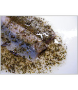 Fisch Aufgussmix -Mediterrano- 60 Gramm Fisch Aufgussmix -Mediterrano- 60 Gramm