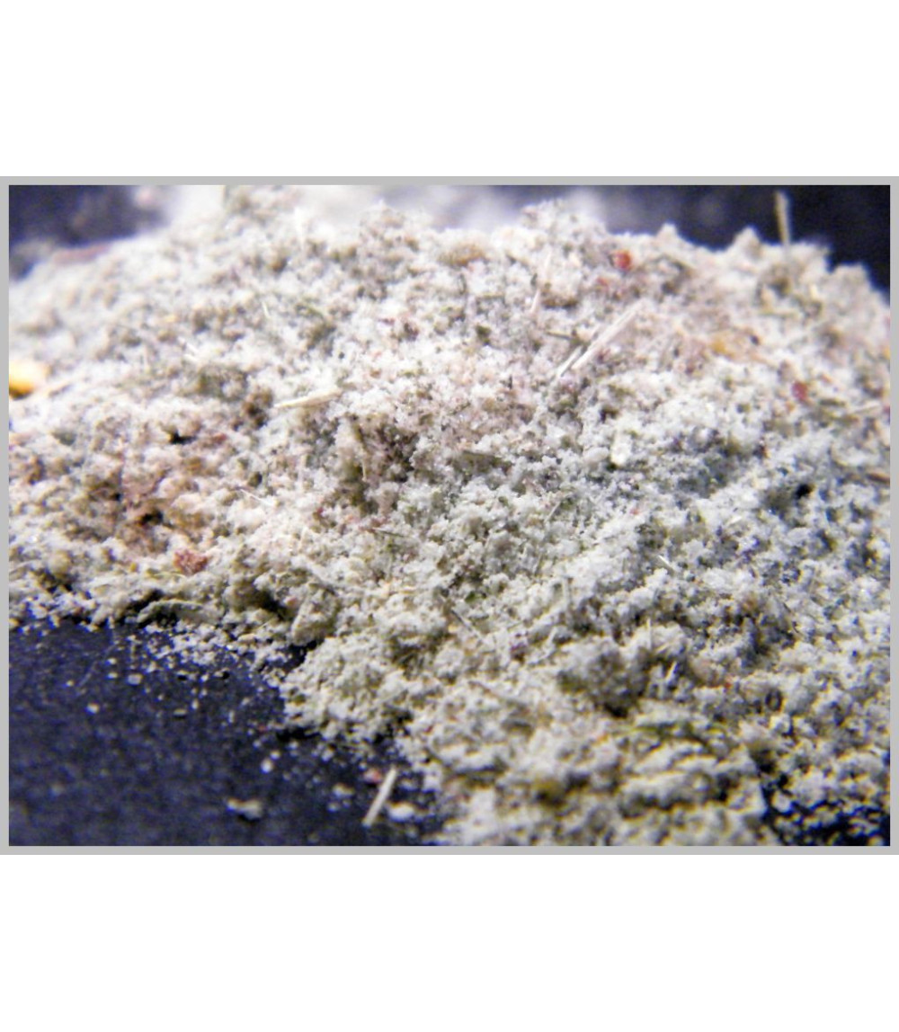 Fisch Rub "Hiddensee" 50 Gramm