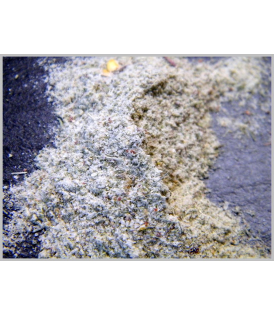 Fisch Rub "Hiddensee" 50 Gramm