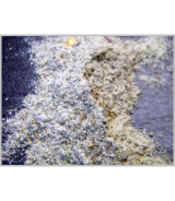 Fisch Rub "Hiddensee" 50 Gramm Fisch Rub "Hiddensee" 50 Gramm