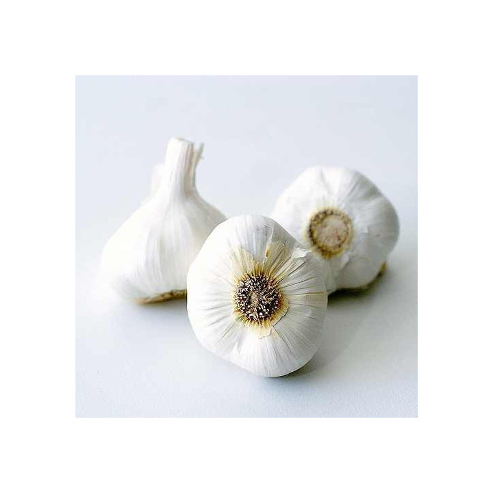 Knoblauch Aroma Öl 100 ml