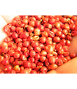 roter Pfeffer / rote Beeren 50 Gramm roter Pfeffer / rote Beeren 50 Gramm