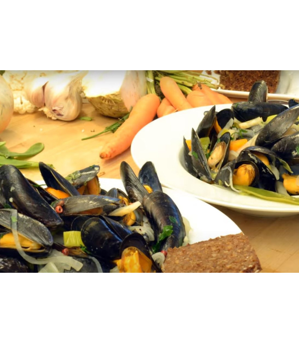 Muschel Rezept