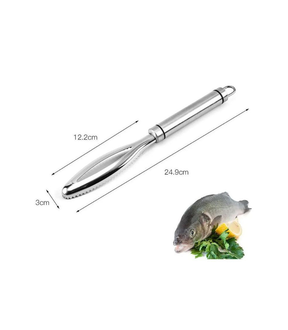 Fisch Entschupper Edelstahl in Profiqualität