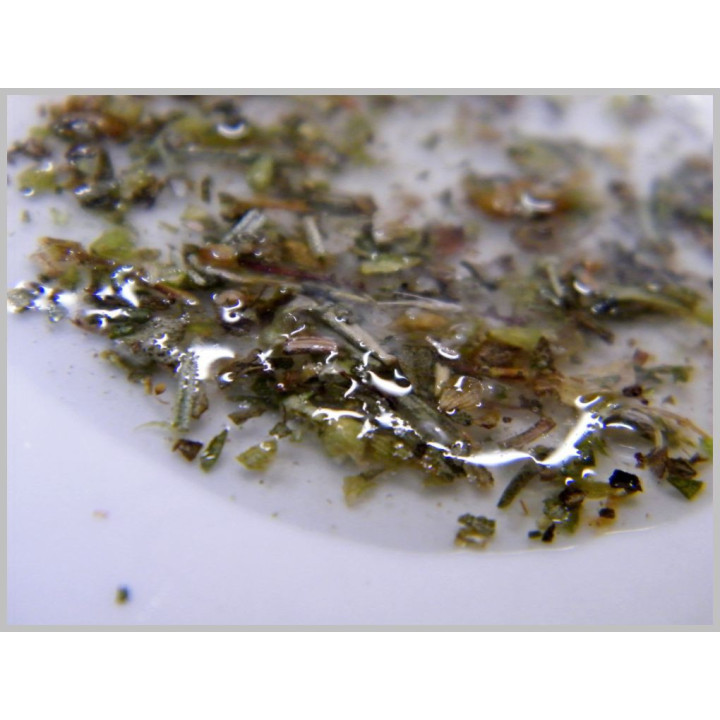 Fisch Aufgussmix -Mediterrano- 60 Gramm
