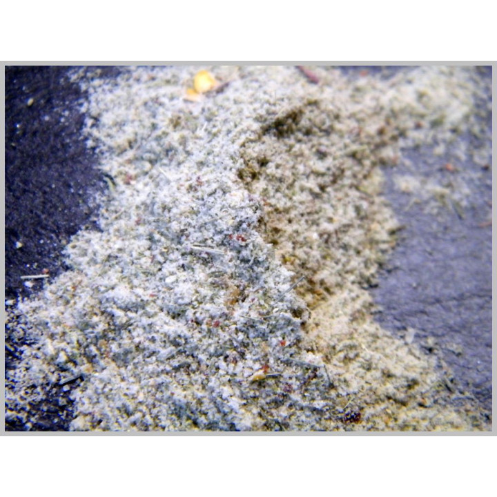Fisch Rub "Hiddensee" 50 Gramm
