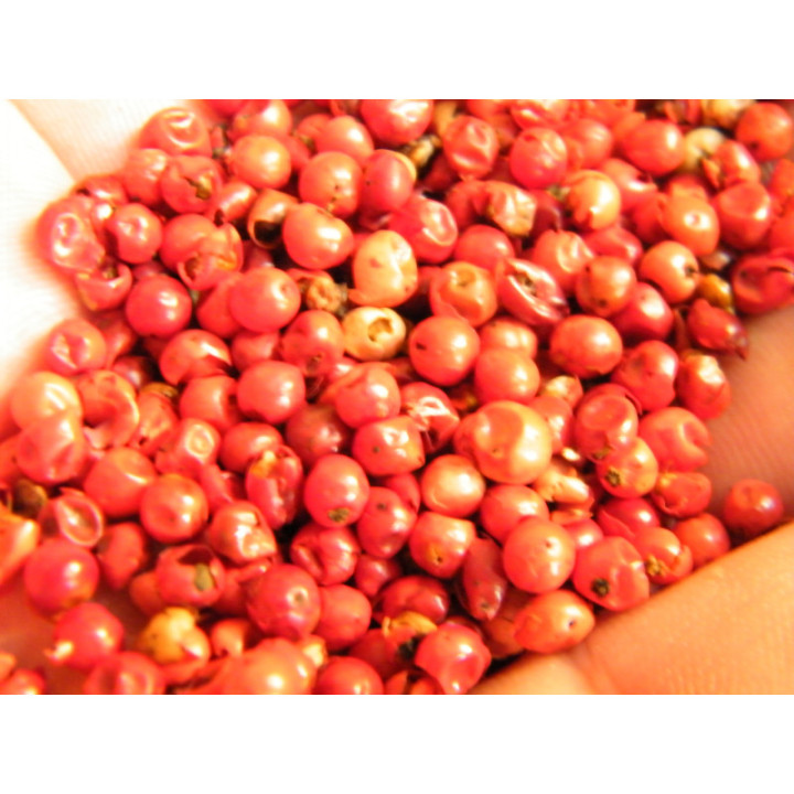 roter Pfeffer / rote Beeren 50 Gramm