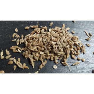 Fenchel 50 Gramm
