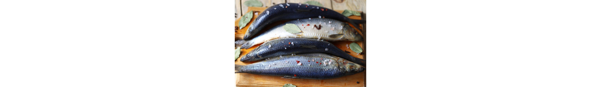 Salzhering Rezepte
