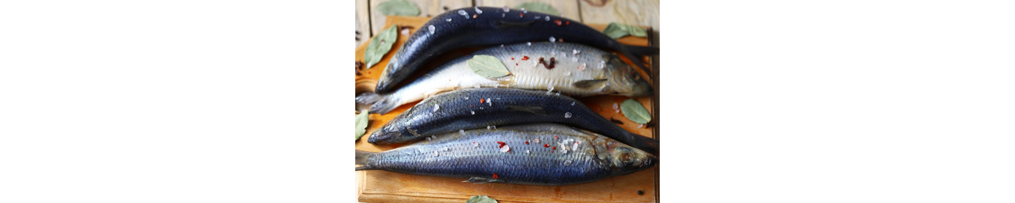 Salzhering Rezepte